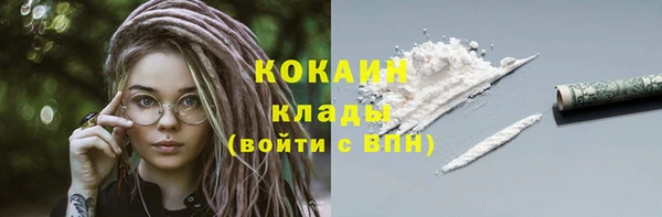 бошки Богородицк