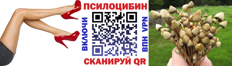 Псилоцибиновые грибы Psilocybine cubensis  где продают наркотики  Южноуральск 